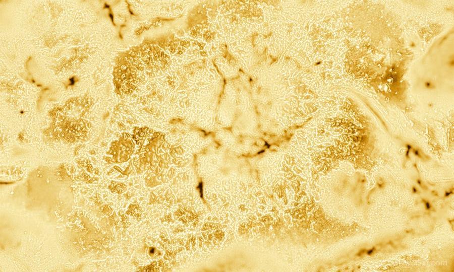 25xt-486790 Liquid-Gold-Texturesz4.jpg