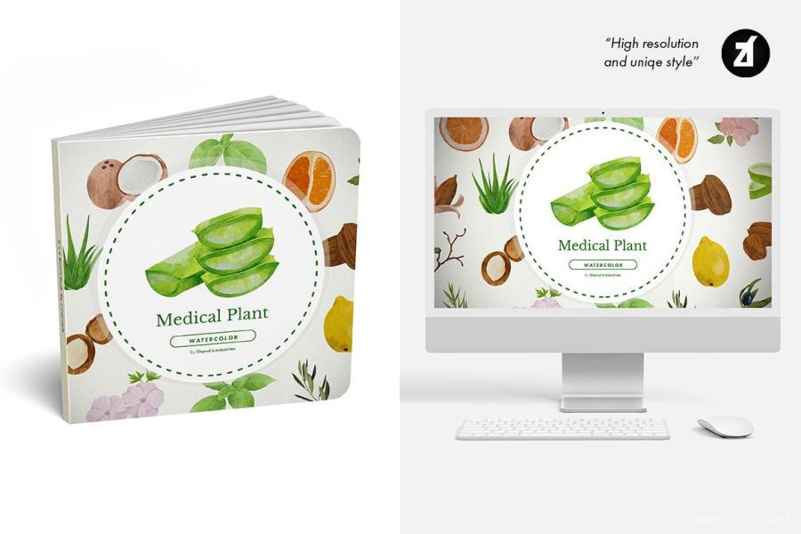 25xt-486860 50-Cosmetic-and-Medicinal-Plants-Illustrationz3.jpg