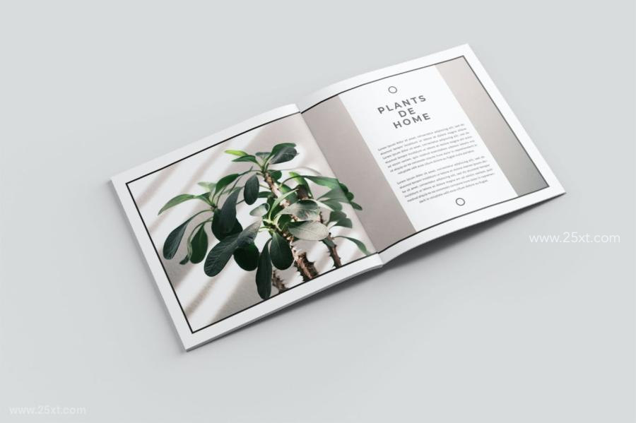 25xt-487221 Lifestyle-Magazinez6.jpg