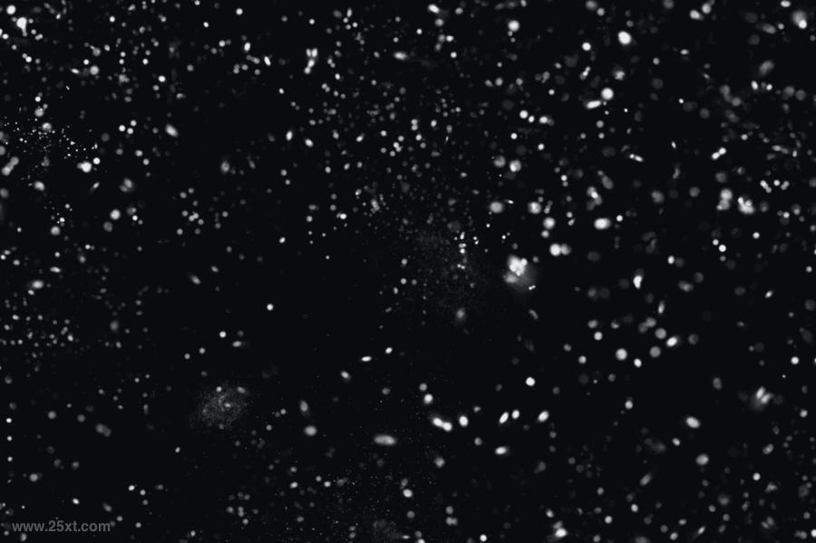 25xt-487243 Dust-Stamp-Brushesz3.jpg
