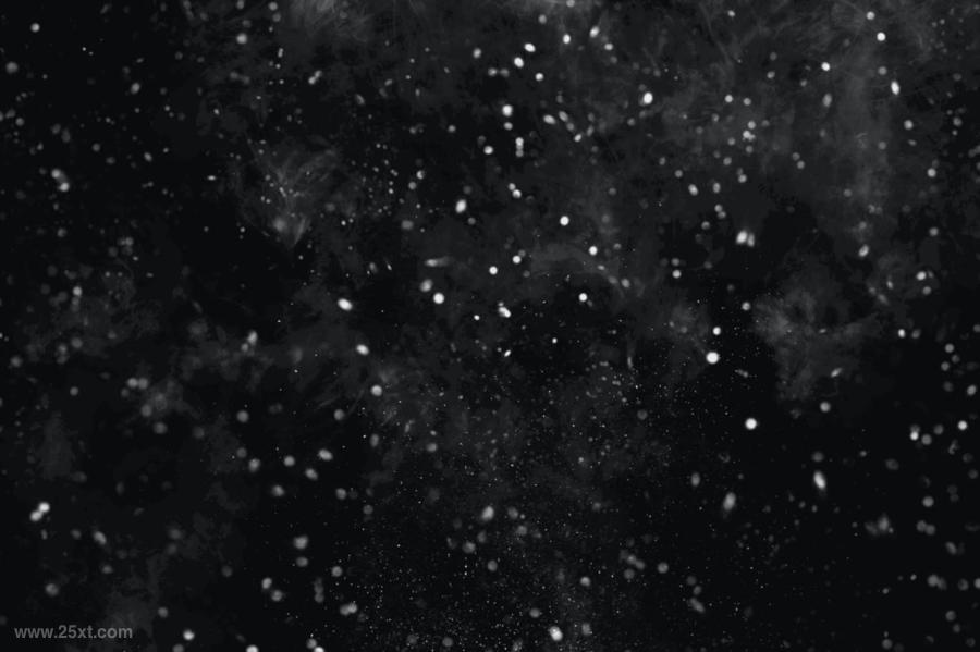 25xt-487243 Dust-Stamp-Brushesz5.jpg