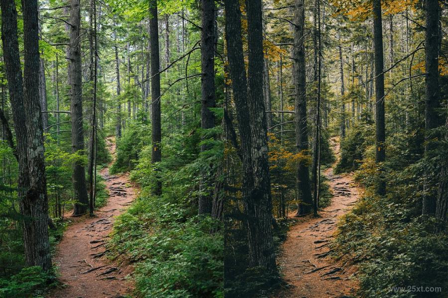 25xt-487309 25-Rustic-Forest-Lightroom-Presets-and-LUTsz8.jpg