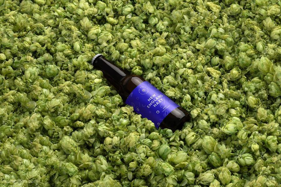 25xt-486972 Craft-Beer-Packaging-Mockups-Vol-3z10.jpg