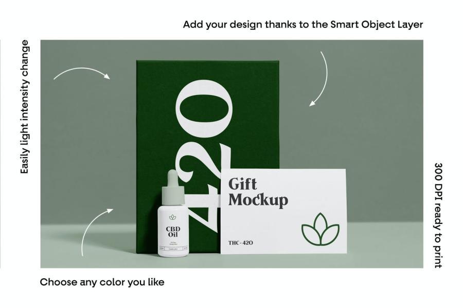 25xt-487696 Box-Mockups-vol2z3.jpg