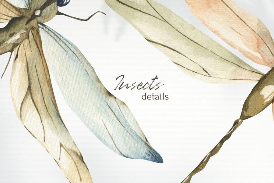 25xt-487754 Watercolor-Insects-clipart,-trendy-png-elementsz5.jpg