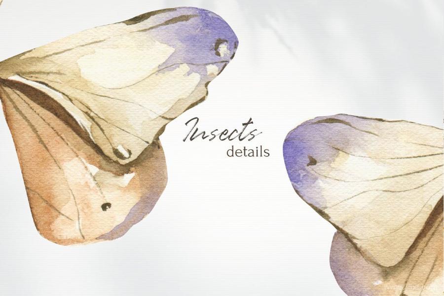 25xt-487754 Watercolor-Insects-clipart,-trendy-png-elementsz8.jpg