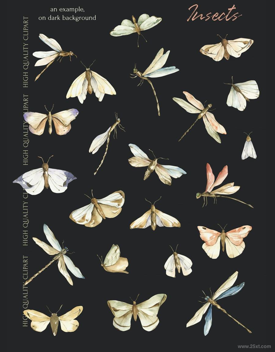 25xt-487754 Watercolor-Insects-clipart,-trendy-png-elementsz9.jpg