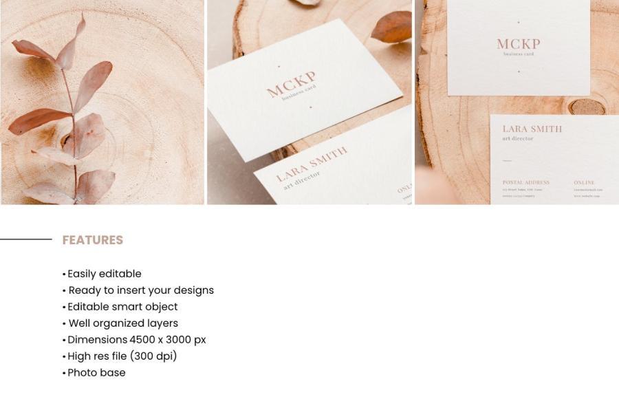 25xt-487931 Natural-Business-Card-Mockupsz4.jpg