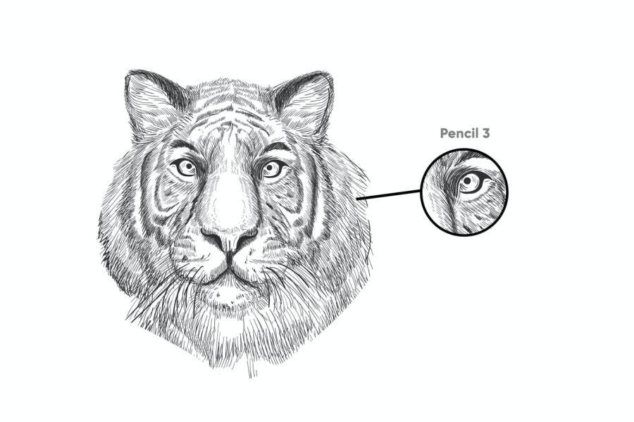25xt-487989 10-Pencil-Brushes-Procreatez3.jpg