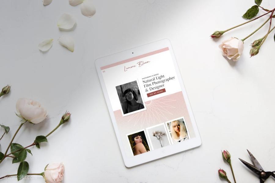 25xt-488005 Peachy-Nostalgia-Gradient-Backgroundsz5.jpg
