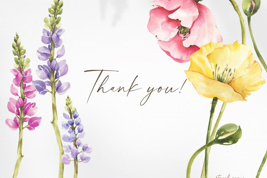 25xt-488009 Watercolor-Poppy-clipart-Summer-png-collectionz3.jpg