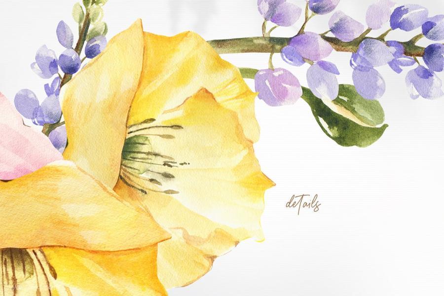 25xt-488009 Watercolor-Poppy-clipart-Summer-png-collectionz7.jpg