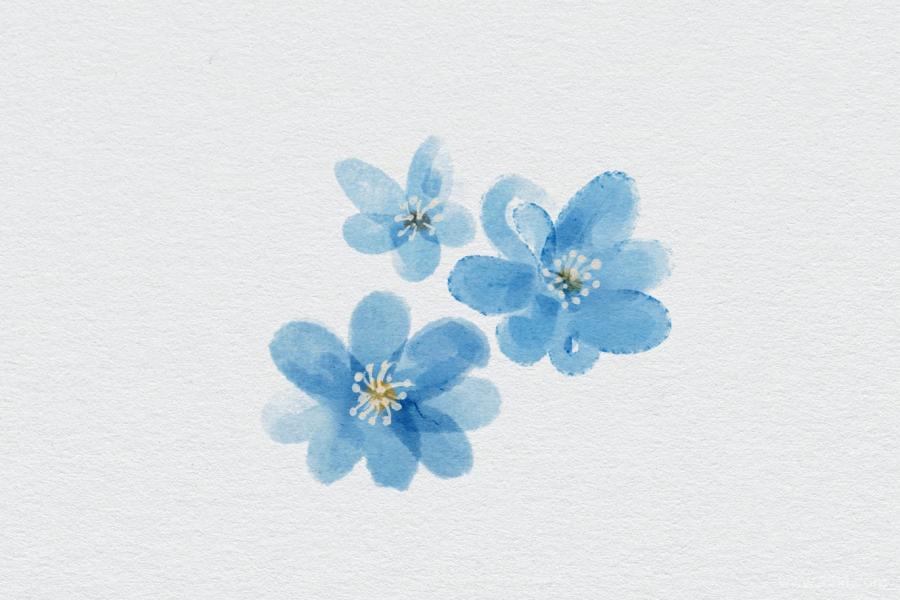 25xt-488107 Realistic-watercolor-brushes---PSz5.jpg