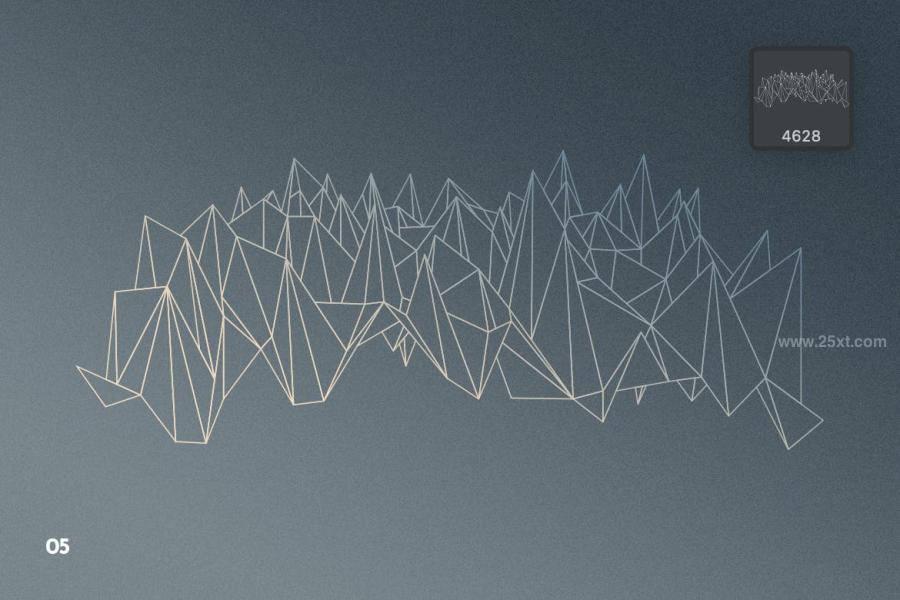 25xt-488714 Wireframe-Geometric-Objects-Photoshop-Brushesz11.jpg