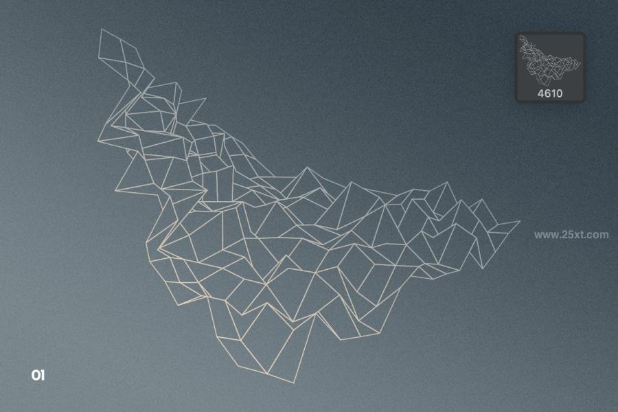 25xt-488714 Wireframe-Geometric-Objects-Photoshop-Brushesz15.jpg