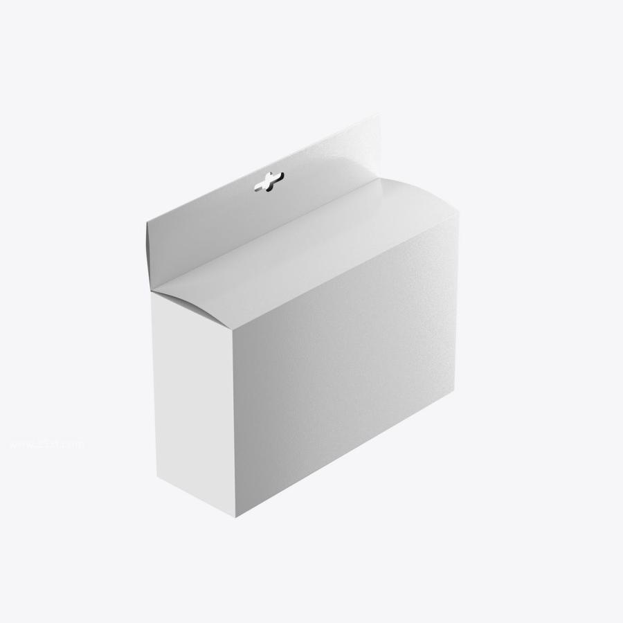 25xt-171143 Box-with-Hang-Tab-Mockupz7.jpg