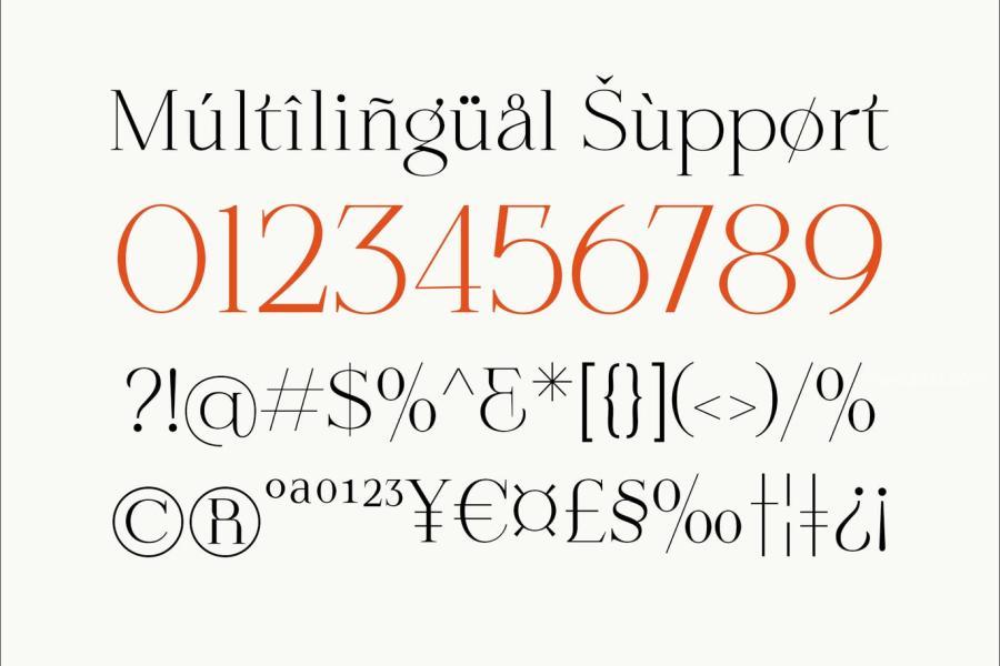 25xt-171163 Cheldro-Displayz9.jpg