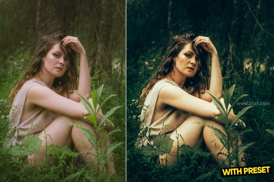 25xt-171740 ARTA---Jungle-Presets-for-Lightroomz5.jpg