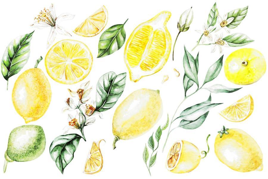 25xt-162045 Hand-Drawn-Watercolor-Lemonsz4.jpg