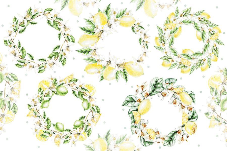 25xt-162045 Hand-Drawn-Watercolor-Lemonsz6.jpg