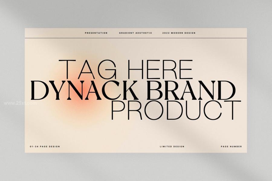 25xt-162060 Dynack---Powerpoint-Presentation-Templatez3.jpg