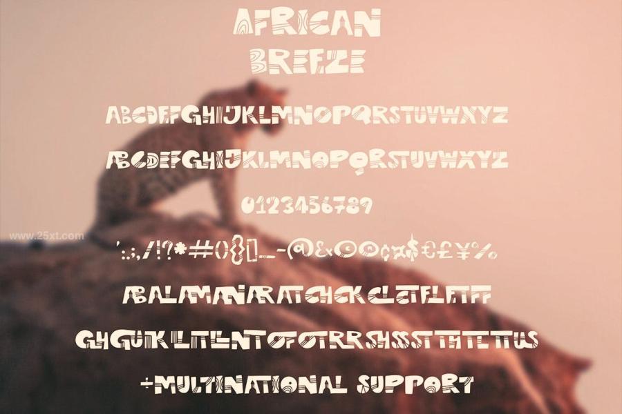 25xt-174500 African-Breeze-Playful-Fontz7.jpg