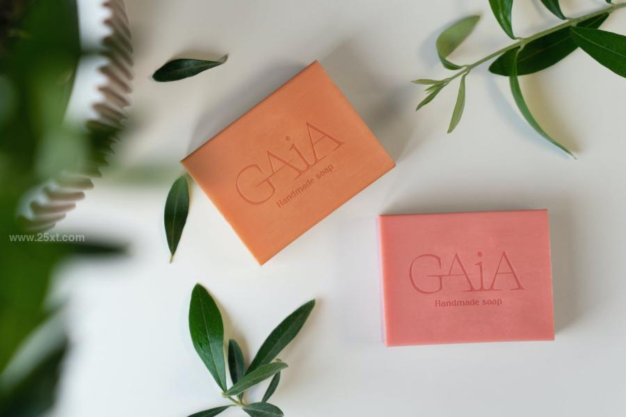 25xt-174310 Soap-MockUps-Packz5.jpg