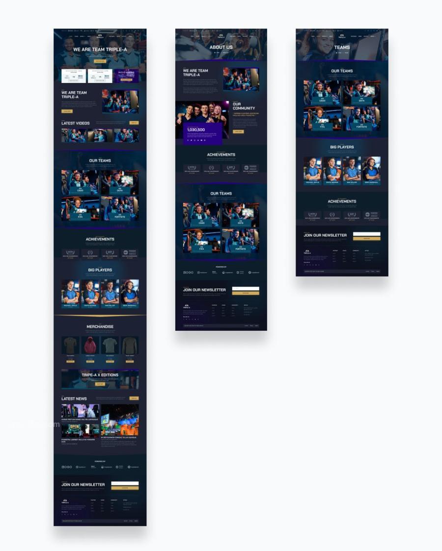 25xt-174313 eSport-Team-Gaming-Website-UI-Kit-Templatez4.jpg