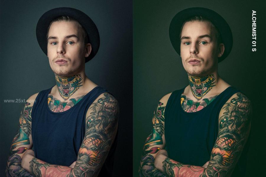25xt-164161 14-Tattoo-Lightroom-Presets-and-LUTsz4.jpg
