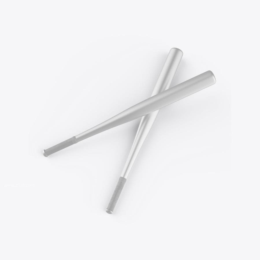 25xt-172844 Metallic-Baseball-Bat-Mockupz6.jpg