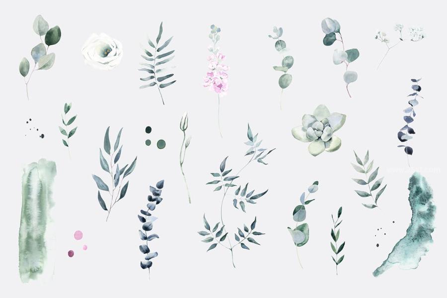25xt-164425 Tender-Flowers-Watercolor-Elementsz3.jpg