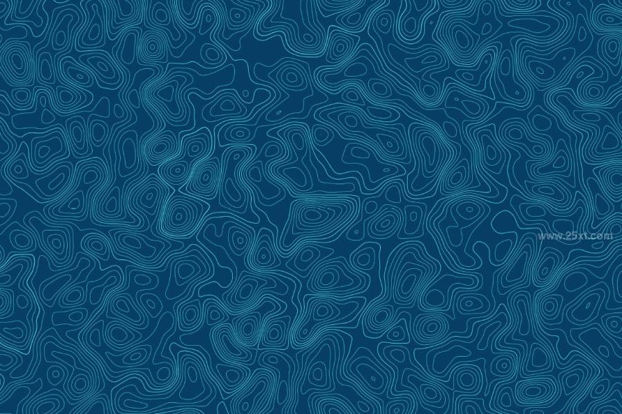 25xt-164489 Topographic-Vector-Patternsz11.jpg