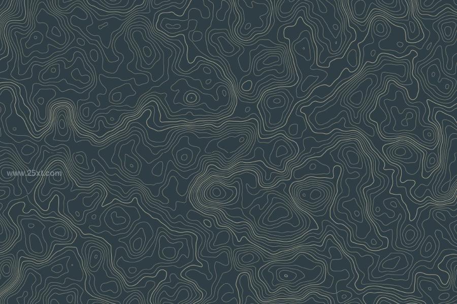 25xt-164489 Topographic-Vector-Patternsz12.jpg