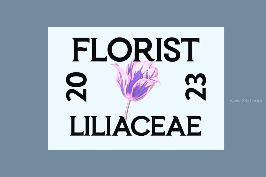 25xt-164836 Breakwater-Modern-Classy-Serif-Fontz4.jpg