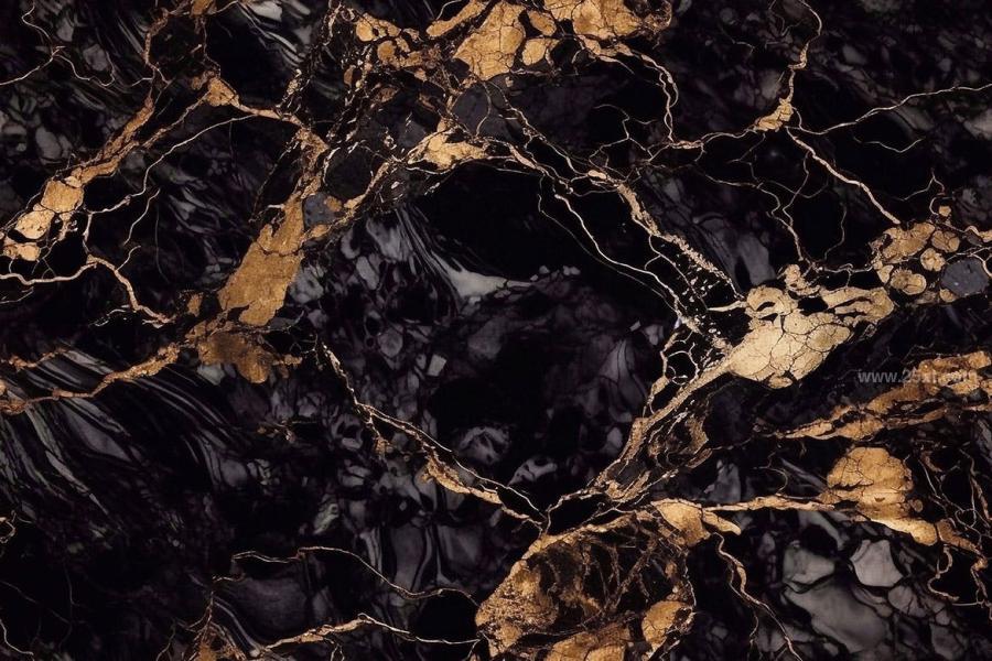 25xt-165022 Black-and-Gold-Marble-Seamless-Texture-Backgroundsz10.jpg