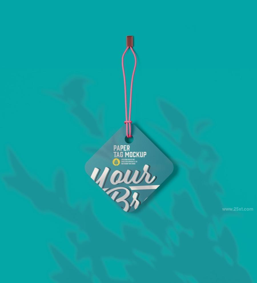 25xt-165137 Set-Paper-Tags-Mockupz16.jpg