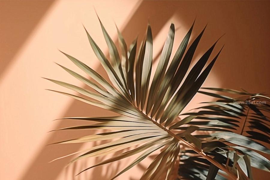 25xt-165435 Palm-Leaves-3D-Backgroundsz11.jpg