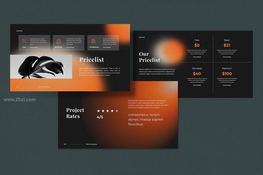 25xt-165488 Ouslo-Presentation-Templatez7.jpg