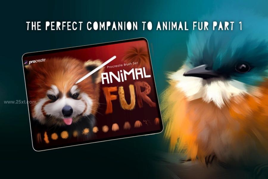25xt-165494 Animal-Fur-2-Procreate-Brushesz5.jpg
