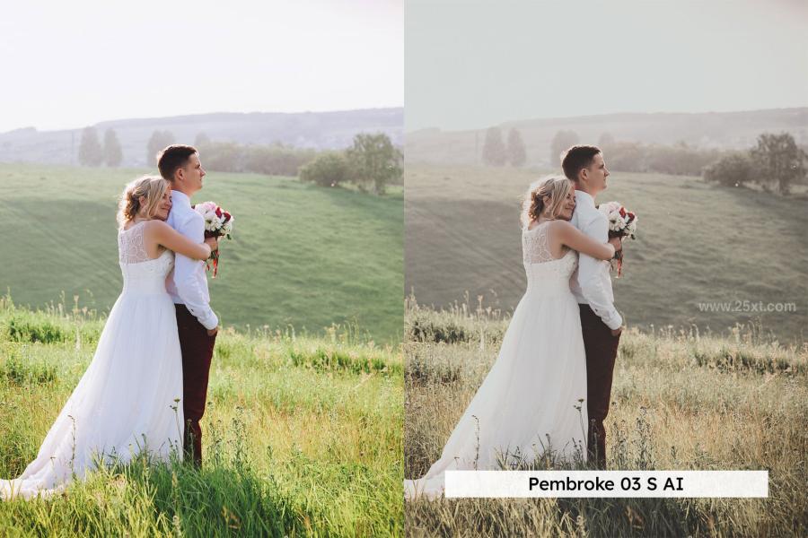 25xt-173490 20-Vintage-Wedding-Lightroom-Presets-and-LUTsz11.jpg