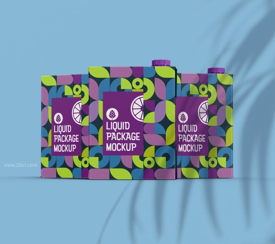 25xt-173752 Liter-Carton-Package-Mockupz12.jpg