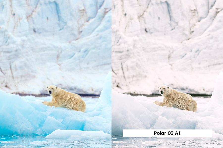 25xt-173915 20-Arctic-Lightroom-Presets-and-LUTsz12.jpg
