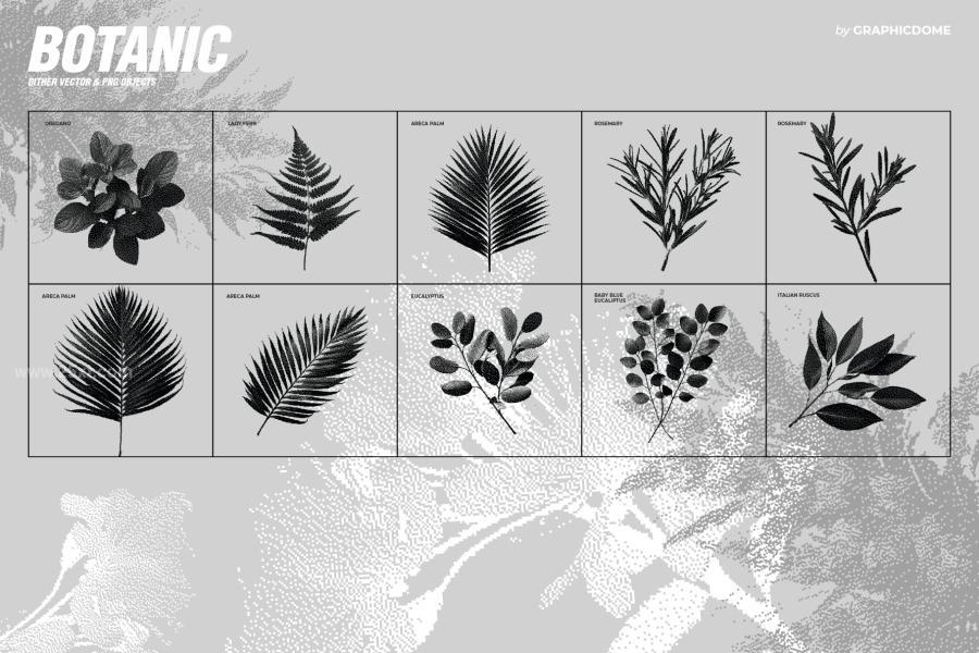25xt-173999 70-Botanic-Dither-Vector--PNGz9.jpg