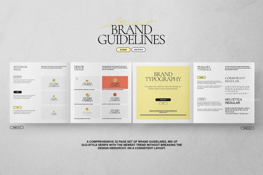 25xt-174121 Brand-Guidelines-Templatez6.jpg