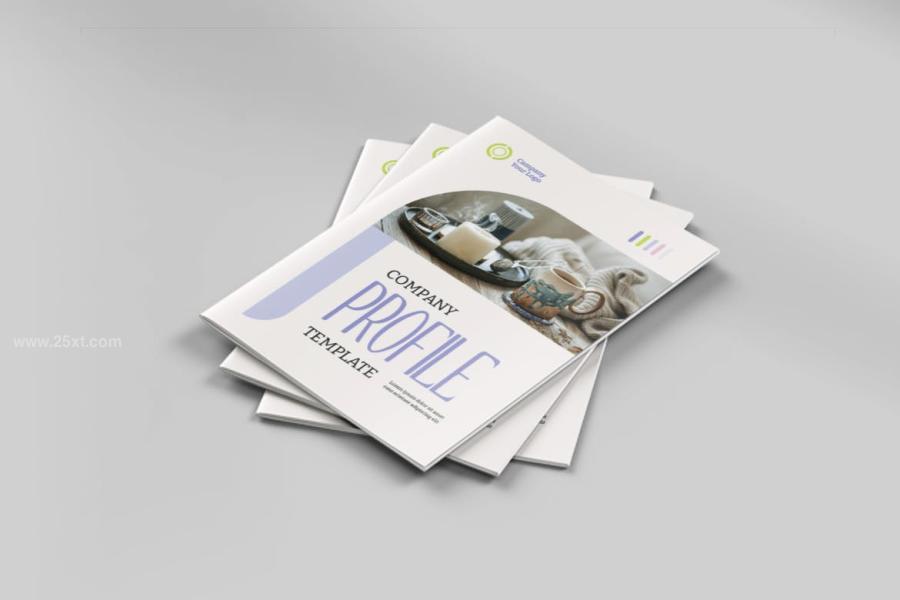25xt-175208 Company-Profilez6.jpg