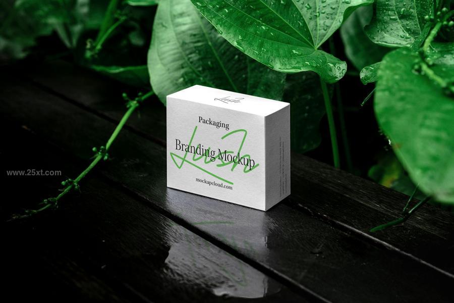 25xt-175397 Branding-Mockups-Lush-Series-02z7.jpg
