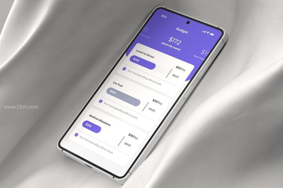 25xt-175592 Phone-Mockupz3.jpg