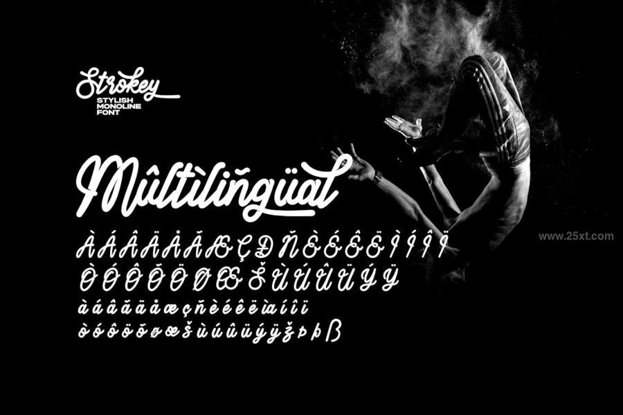 25xt-175888 Strokey---Stylish-Monoline-Fontz8.jpg