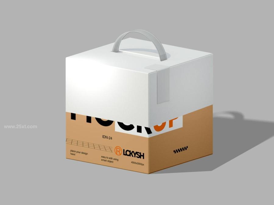 25xt-176046 Box-Mockupz3.jpg