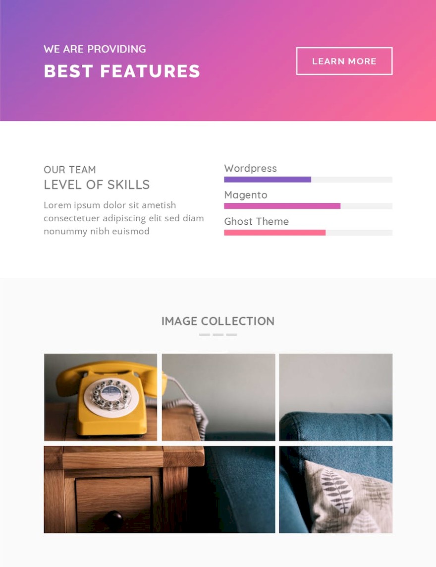 Fritz Responsive Multipurpose Email Template-6.jpg